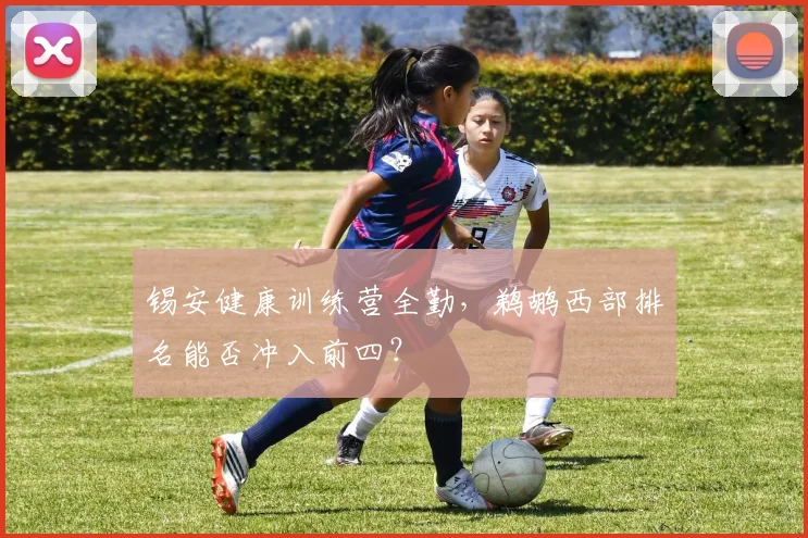锡安健康训练营全勤，鹈鹕西部排名能否冲入前四？